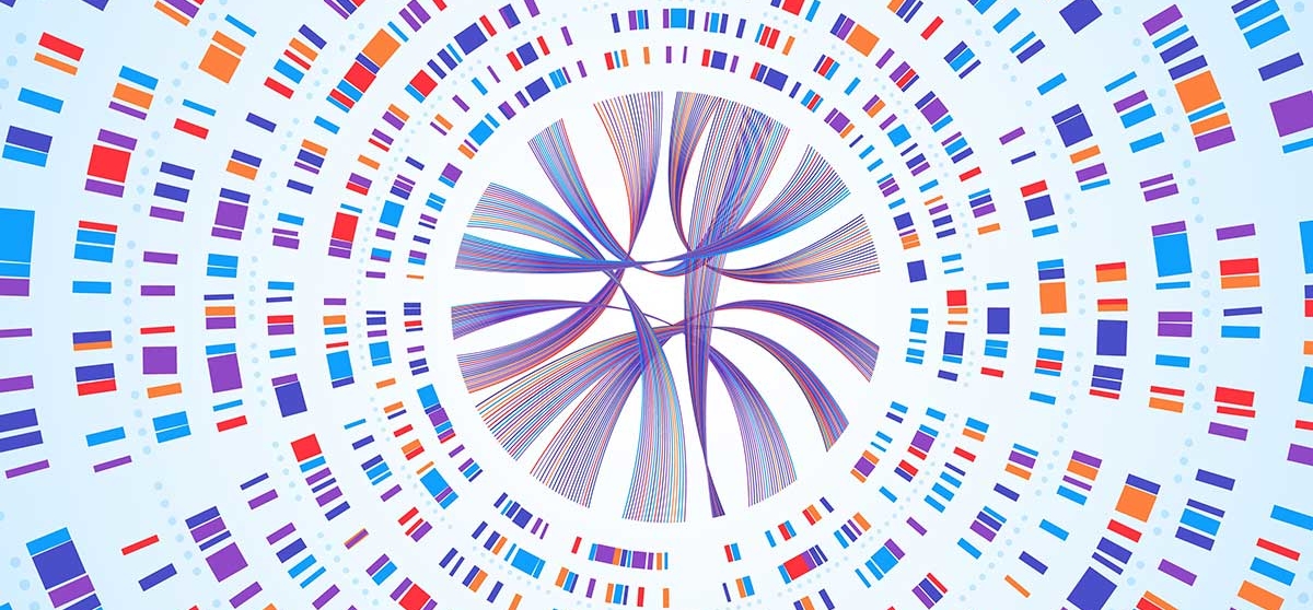 genetics graphic