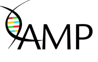 AMP Logo