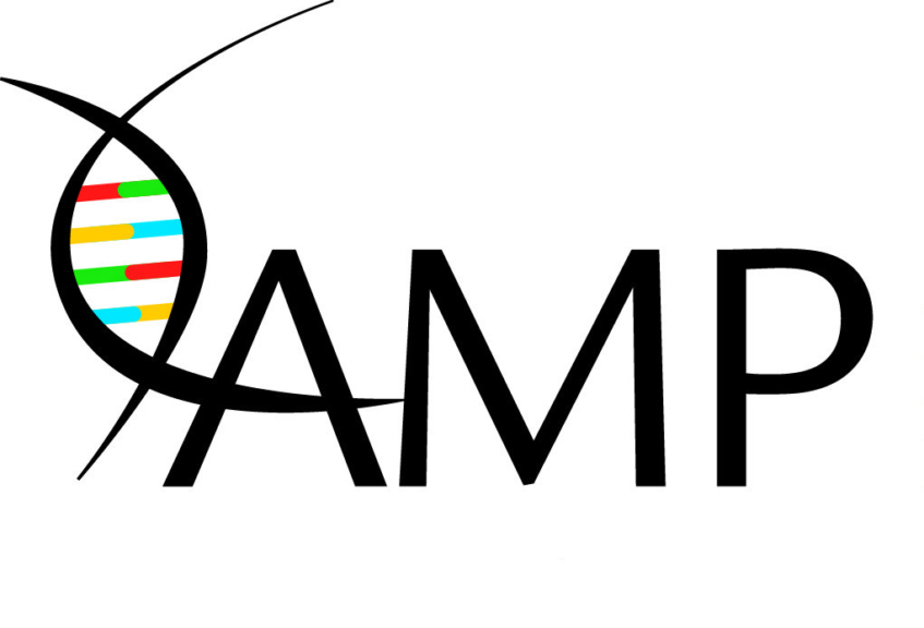 AMP Logo